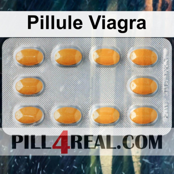Pillule Viagra 912