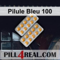Pilule Bleu 100 107