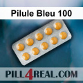 Pilule Bleu 100 538