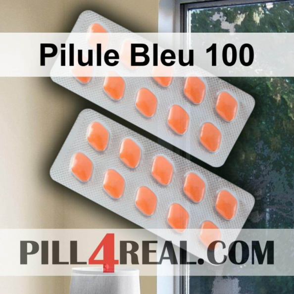 Pilule Bleu 100 848
