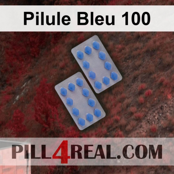 Pilule Bleu 100 904