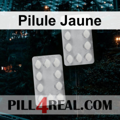Pilule Jaune 026