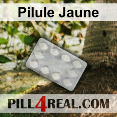 Pilule Jaune 324