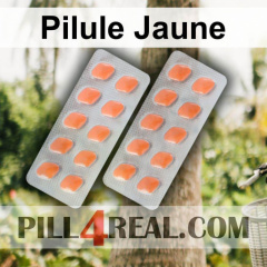 Pilule Jaune 342