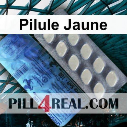 Pilule Jaune 689