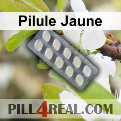 Pilule Jaune 887