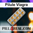 Pilule Viagra 110