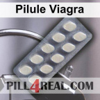 Pilule Viagra 230