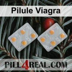 Pilule Viagra 501