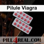 Pilule Viagra 755