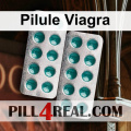 Pilule Viagra 909