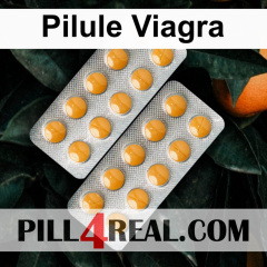 Pilule Viagra 960