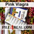 Pink Viagra 404