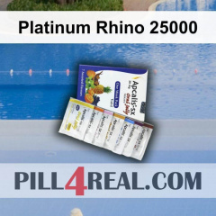 Platinum Rhino 25000 310