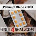 Platinum Rhino 25000 640