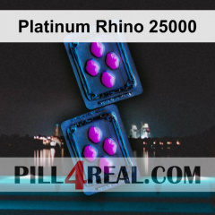 Platinum Rhino 25000 679