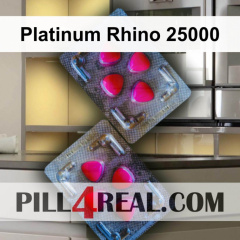 Platinum Rhino 25000 785