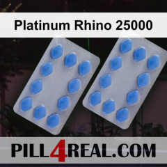 Platinum Rhino 25000 837
