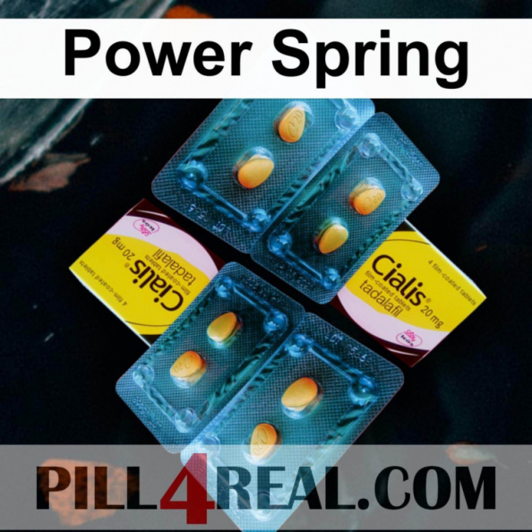 Power Spring 132