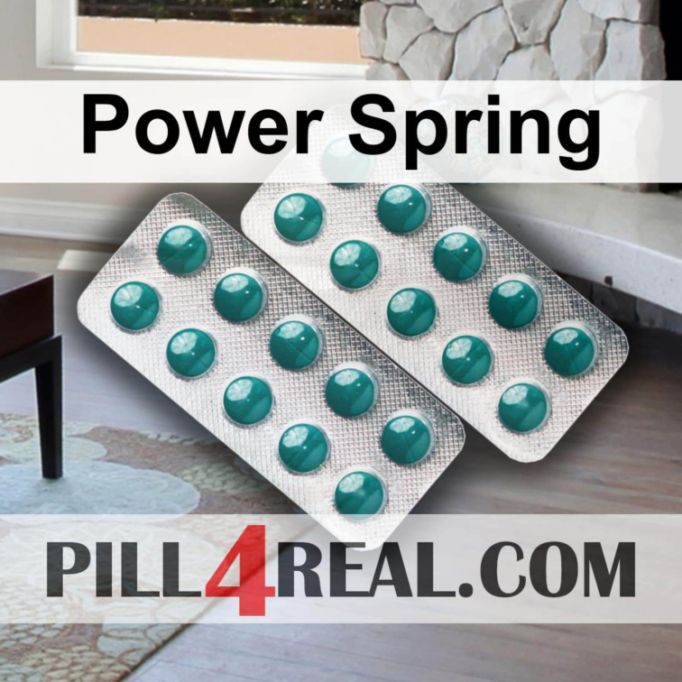 Power Spring 133