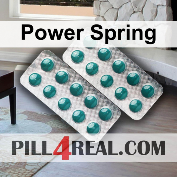 Power Spring 133