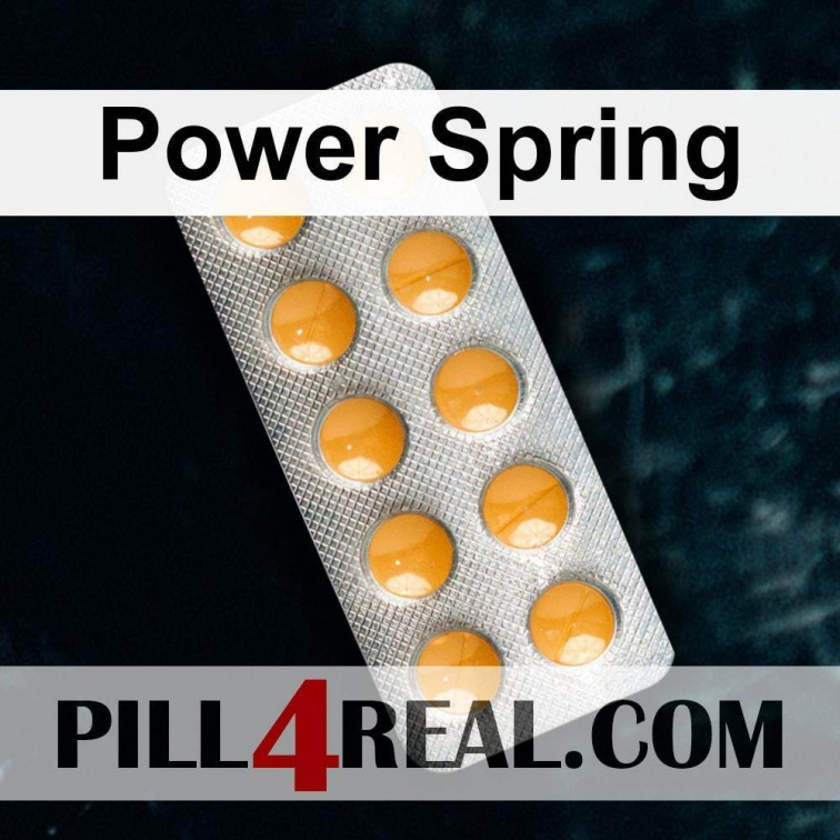 Power Spring 221