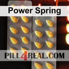 Power Spring 334