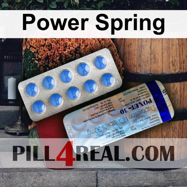 Power Spring 411