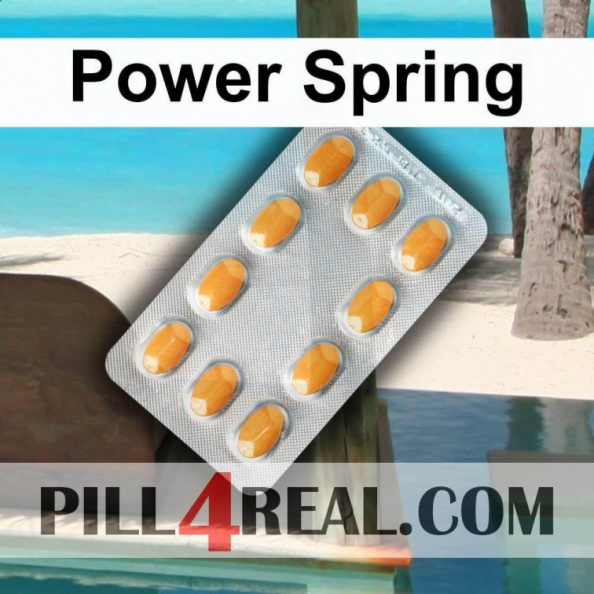 Power Spring 503
