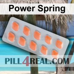 Power Spring 878