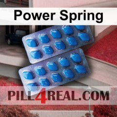 Power Spring 953