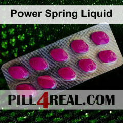Power Spring Liquid 040