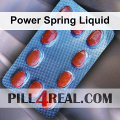 Power Spring Liquid 134