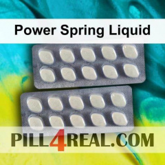 Power Spring Liquid 289