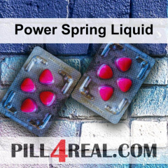 Power Spring Liquid 873