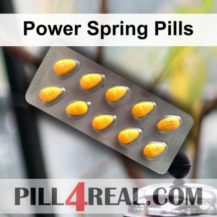 Power Spring Pills 508