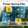 Power Spring Pills 746