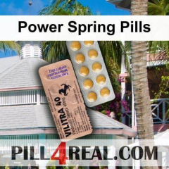 Power Spring Pills 937