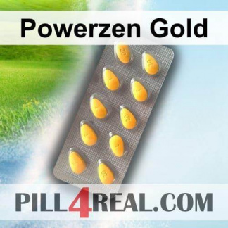 Powerzen Gold 873