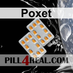 Poxet 204