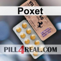 Poxet 569