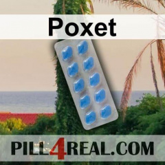 Poxet 591