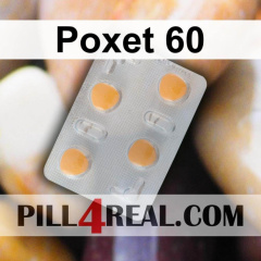 Poxet 60 169