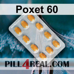 Poxet 60 512