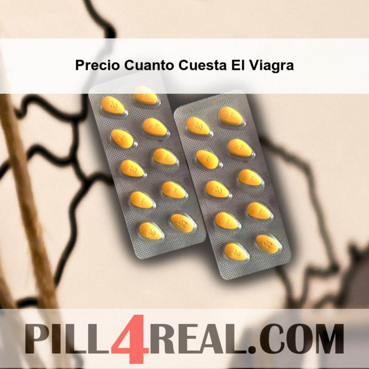 Precio Cuanto Cuesta El Viagra 091