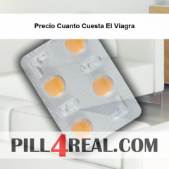 Precio Cuanto Cuesta El Viagra 356