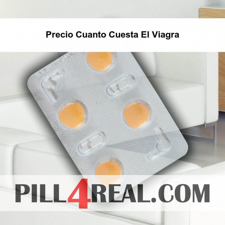 Precio Cuanto Cuesta El Viagra 356