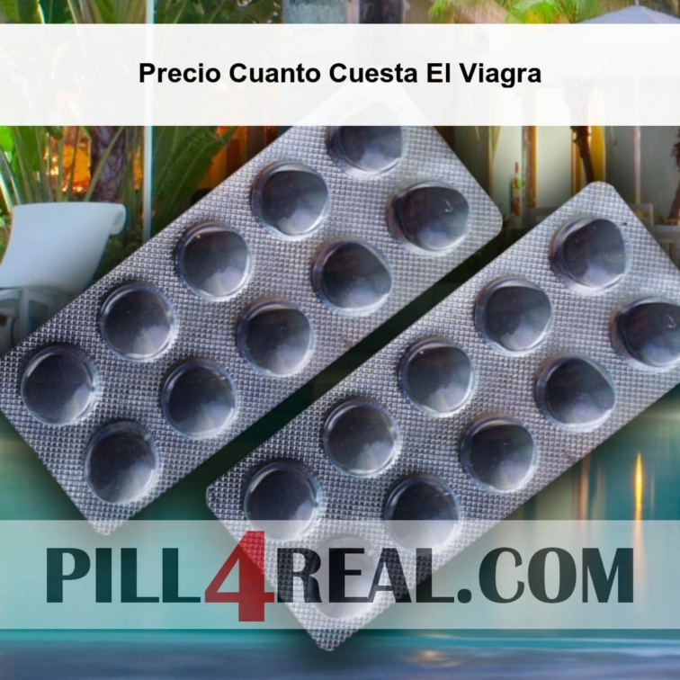 Precio Cuanto Cuesta El Viagra 982