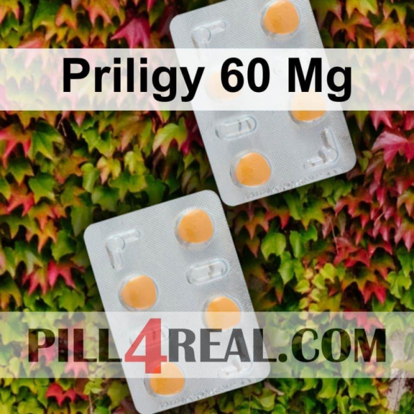 Priligy 60 Mg 435