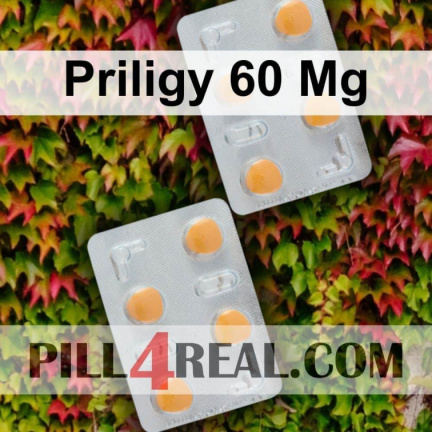 Priligy 60 Mg 435